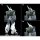 Good Smile Company MODEROID Mobile Police Patlabor 2: the Movie AV-98 Ingram Reactive Armor Plastic Model image 5