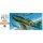 Hasegawa 1/72 Mitsubishi J2M3 Interceptor Raiden Plastic Model image 2
