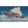 Hasegawa 1/48 Kawanishi N1K2-J Local Fighter Plane Shiden Kai "Late Version" Plastic Model Bild 2