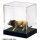 Platz Crystal Plastic Case S-1 imagen 2