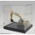 Platz Crystal Plastic Case M-1 รูปภาพ 6