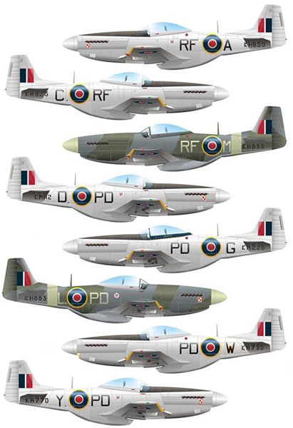 Model Maker 1/72 P-51D "303rd Kosciuszko Fighter Squadron" imagen 1