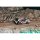Tarmac Works 1/64 Toyota GR Yaris Rally2 Rally Sweden 2024 Yuki Yamamoto / Marko Salminen image 4