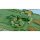 HobbyJAPAN HJM Material Series No4 1/35 STRV103C (S Tank Type C) ชุดชิ้นส่วนโฟโต้เอตช์ รูปภาพ 10