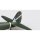 Fujimi 1/72 C Series No.45 Imperial Japanese Army Fighter Hayabusa Type 1 "Kato Hayabusa Sento-tai" Plastic Model รูปภาพ 2