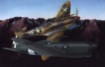 LF Models 1/48 Ambrosini SAI.207 Resin Kit