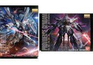 クリアファイル ZGMF-X10A フリーダムガンダムver.2.0＆ZGMF-X13A プロヴィデンスガンダム A4クリアファイルセット(2枚組) 「一番くじ 機動戦士ガンダム ガンプラ40周年」 H賞