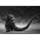 Bandai [w / First Press Bonus] S.H.MonsterArts - Godzilla image 6
