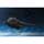 Bandai [w / First Press Bonus] S.H.MonsterArts - Godzilla image 9