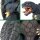 Kaiyodo Tokusatsu Revoltech No.033 G2Gamera From "Gamera 2: Attack of Legion" Bild 7