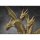 Bandai S.H.MonsterArts - King Ghidorah image 6